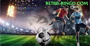 c81 no Brasil: Análise Completa e Recomendações - pro